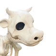 thumbnail image 3 of AMERTEER Halloween Decorative Prop for Haunted House Party(Cow), 3 of 7