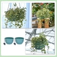 thumbnail image 3 of MasteelfCA 2pcs Chlorophytum Flowerpots Hanging Flower Pots Flower Storage Containers, 3 of 9