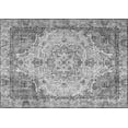 thumbnail image 1 of Ahgly Company Indoor Rectangle Persian Gray Traditional Area Rugs, 7' x 10', 1 of 1
