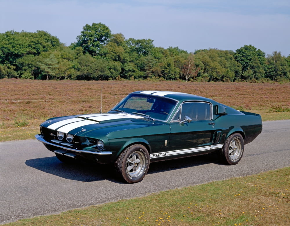 1967 Ford Shelby Co