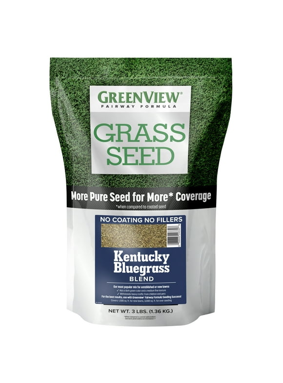 Kentucky Bluegrass Seed in Grass Seed & Sod