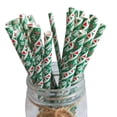 thumbnail image 1 of AUGUSTINA Pailles à boire sur le thème de Noël jetables en papier biodégradable - Fournitures de fête multicolores, 1 of 5