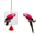 thumbnail image 3 of Bird Cage Mirror Hanging Bell Anti Broken for Bell Interactive Toy Canaries Cockatiel 8.8x8.8cm, 3 of 9