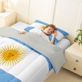 thumbnail image 3 of Manfei Argentinian Flag Twin Comforter Sets,Blue White Yellow Bedding Set,Light Gray Reversible,2pcs,1 Comforter and 1 Pillowcase, 3 of 7