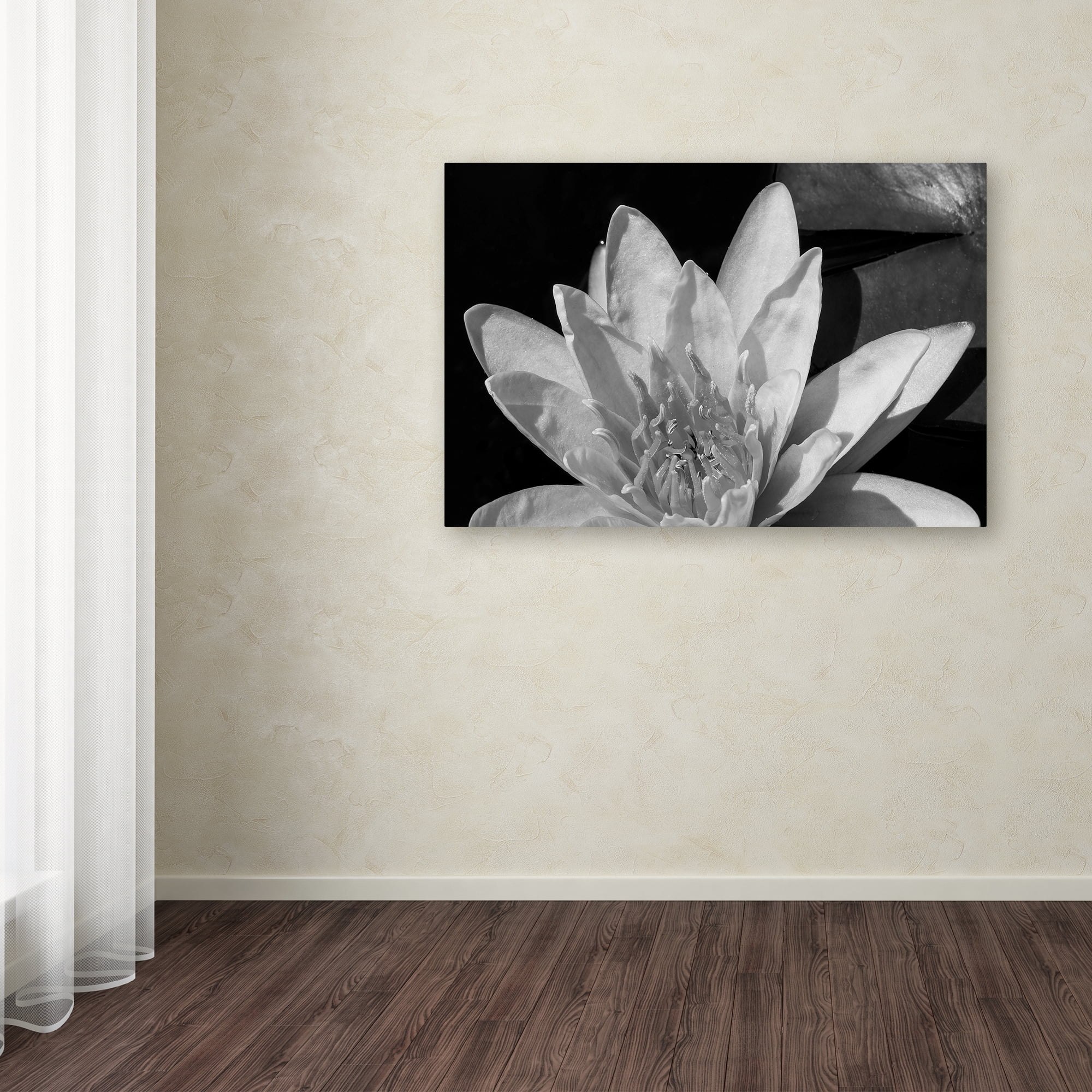 Trademark Fine Art "Water Lily in Black and White" Canvas Art by Kurt Shaffer