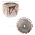 thumbnail image 4 of mmirethe 4pcs Ceramics Breathable Ceramic Plant Pot For Succulent Cactus Transparent And Firm Degradable 1Set, 4 of 6