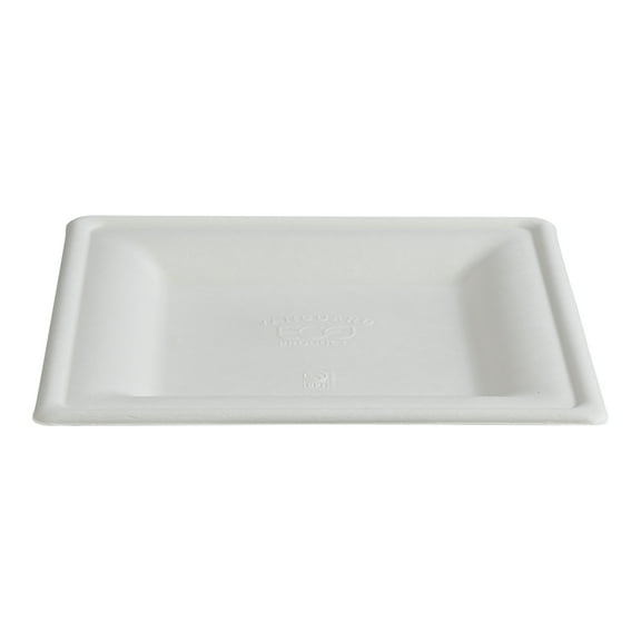 Vanguard Renewable & Compostable Square Molded Fiber Plates - Large