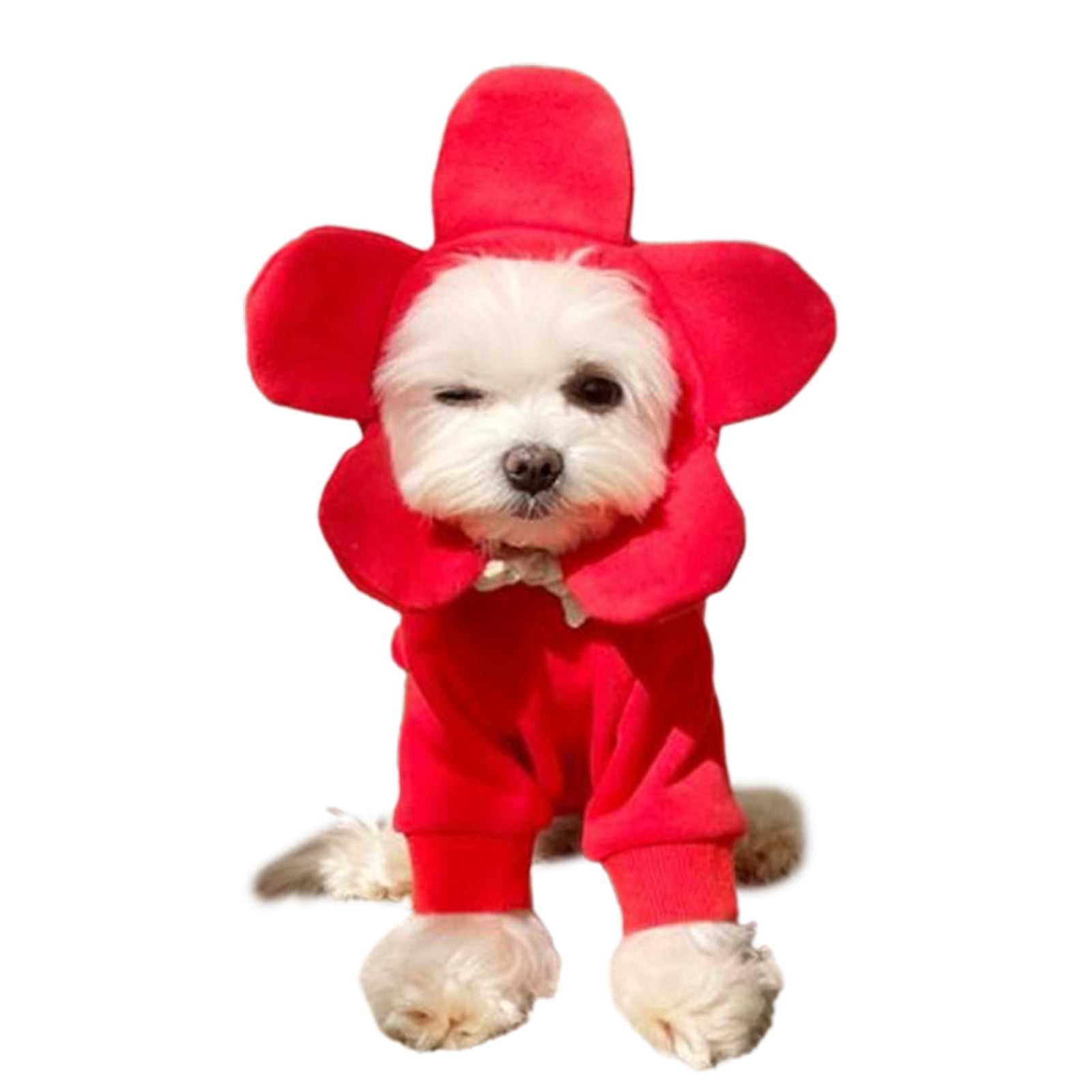 Floral Danseur Pet Dog Hoodie