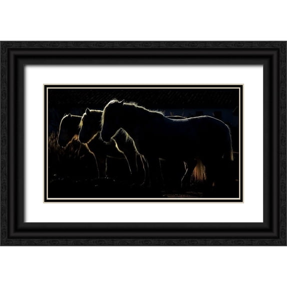 Romaggi, Michel 32x20 Black Ornate Wood Framed with Double Matting Museum Art Print Titled - Tripls