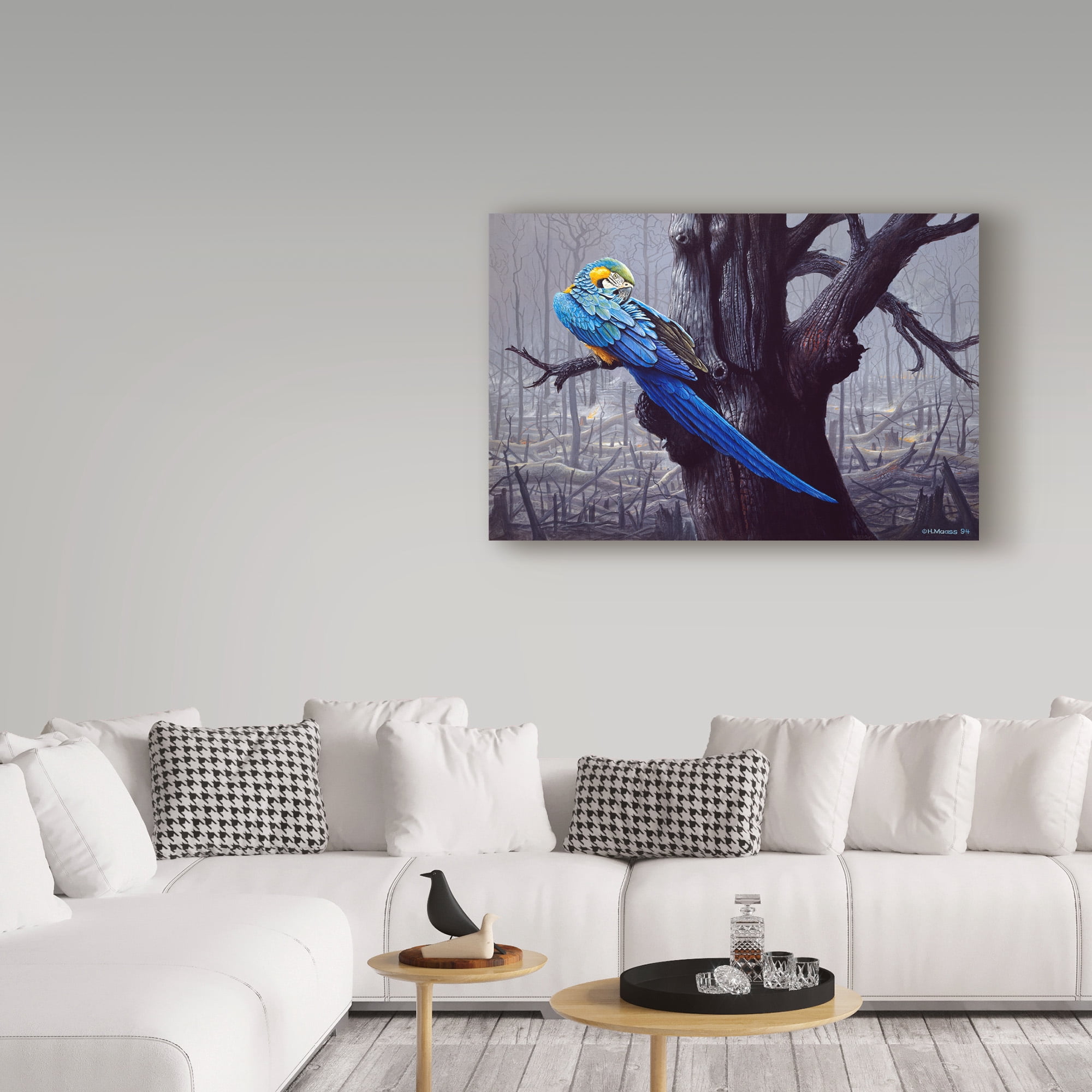 Trademark Fine Art 'Blue And Yellow Macaw In Burned Forest' Canvas Art by Harro Maass