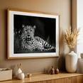 thumbnail image 5 of Leopard - Photography Wildlife Animal Black and White Nature Jungle Unframed Wall Art Print 24 x 36 inches, 5 of 7