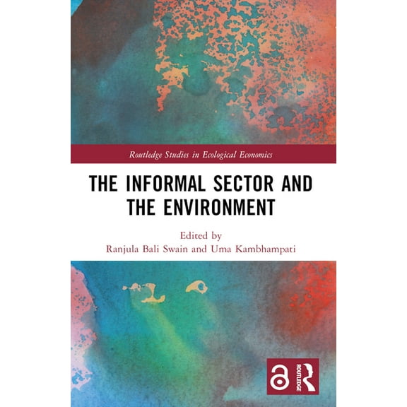 Routledge Studies in Ecological Economic The Informal Sector and the Environment, (Paperback)