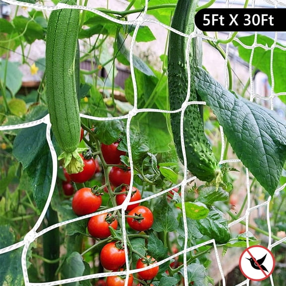 Trellis Mesh Fabric 5ft X 30ft Garden Plant Growing Grid Heavy Duty Horticultural Climbing mesh for Climbing Plants,Fruits,Vegetables,Beans