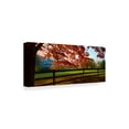 thumbnail image 2 of Trademark Fine Art 'Farm And Country IX' Canvas Art by James McLoughlin, 2 of 4