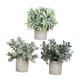 thumbnail image 1 of 3 Piezas de Plantas Falsas BLESIY Decorativas en Macetas Pequeñas, 1 of 8