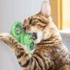 thumbnail image 4 of Juguete interactivo para gatos de interior, juguete para gatos de molino de viento con bola y bola de iluminación, juguete interactivo para gatos, divertida bola de molino de viento para gatitos, masaje para rascar cosquillas MFZFUKR 220434-3, 4 of 8