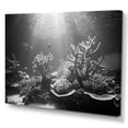 thumbnail image 2 of Designart "Monochromatic Ballet Of Coral Beauty" Coastal Coral Under Water Canvas Wall Art, 2 of 7