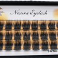 thumbnail image 1 of QSTY 3DFluffy, pestañas postizas de un solo grupo, ventiladores de volumen prefabricados, pestañas individuales segmentadas, pestañas postizas naturales para extensión de ojos Tan Jianjun unisex, 1 of 2