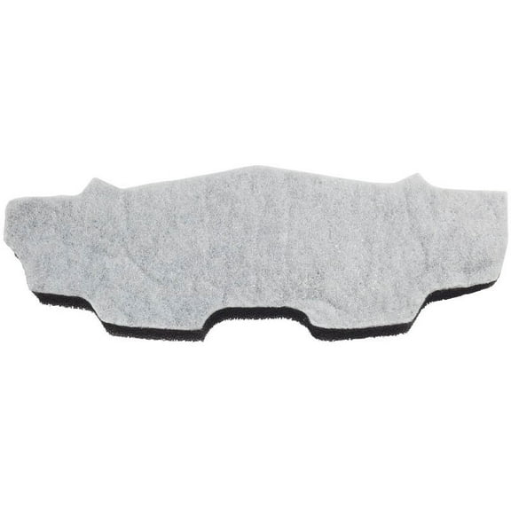 Proteam 834721 Motor Intake Filter