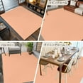 thumbnail image 6 of Peach Fuzz 5x7 Area Rugs, Farmhouse Solid Orange Color Modern Art Non-Skid Rubber Backing Large Rectangle Rugs - Living Room Bedroom Home Office, Indoor Floor Mat Carpets Washable Rug, 6 of 9