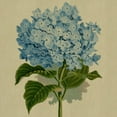 thumbnail image 2 of CafePress - Blue Hydrangea Flowers - Canvas Lunch Bag with Strap Handle, 2 of 2