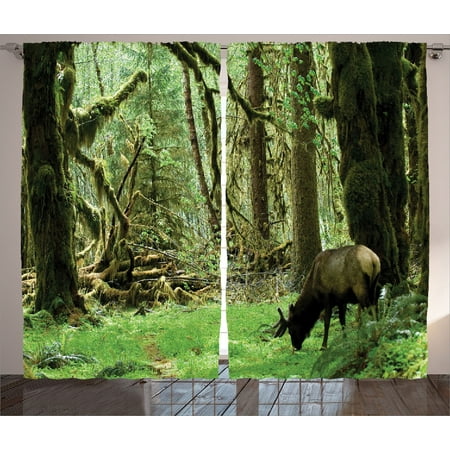 Bathroom Themes Ideas Rainforest Decorations Curtains 2 Panels Set, Roosevelt Elk In Rainforest Wildlife National Park Washington Antlers Theme, Living Room Bedroom Accessories, Gift Ideas, By Ambesonne ()