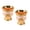 Golden white, variant on POYOGA 2pcs Rose Zincs Metal Drinking Glasses 30ml for Special Occasions