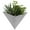 Aged Zinc, variant on Modern Home Triangle Living Wall Mounted Galvanized Steel/Zinc Succulent/Herb Planter (Rust Zinc, Single)