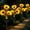 Sunflowers, variant on Upgraded Solar Sunflower Lights, 4-Pack Solar Garden Lights with Bigger Round Panel, 40-Hour Runtime for Indoor & Outdoor Decor, Waterproof for Patio Yard Garden