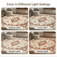 thumbnail image 7 of ODIKA 3'x5' Ultra-Soft Throw Mat, Hallway Boho Vintage Distressed Scrolls Ornate Border Faded Southwestern None Washable, Bare feet friendly, Easy Care Indoor rug for Bedside, Vanity, 7 of 7