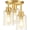 Gold, variant on Semi Flush Mount Ceiling Light, Close to Ceiling Lights Fixtures, 3 Light Kitchen Ceiling Lights Fixtures with Glass Shades, Hallway Light Fixtures Ceiling Mount for Foyer, Black
