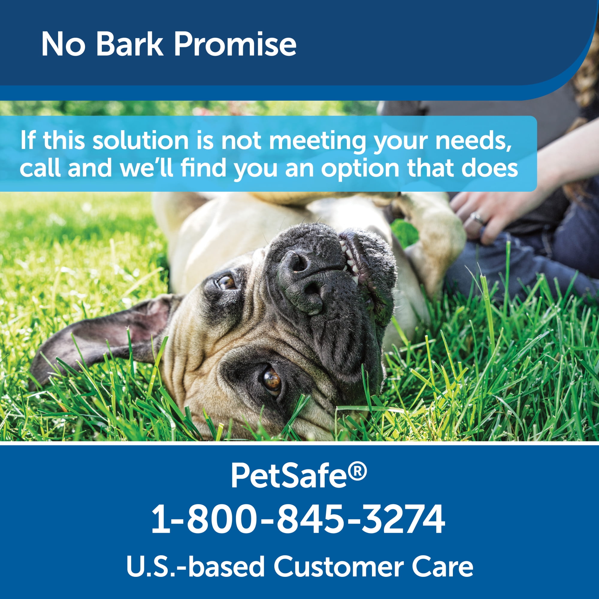 Petsafe no clearance bark