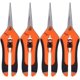 thumbnail image 1 of Apuakthei - Juego de 4 tijeras de podar de acero inoxidable para jardinería, para plantas, profesionales, para jardín, hidroponía, jardín y bonsái (naranja), 1 of 5