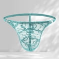 thumbnail image 1 of Mens Underwear Transparent Mesh Lace Low Rise Briefs for Daily Wear Breathing Soft Stretch Comfort, 1 of 3