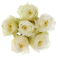 thumbnail image 3 of Assorted Color Roses 6 Stem, Colors May Vary, 3 of 6