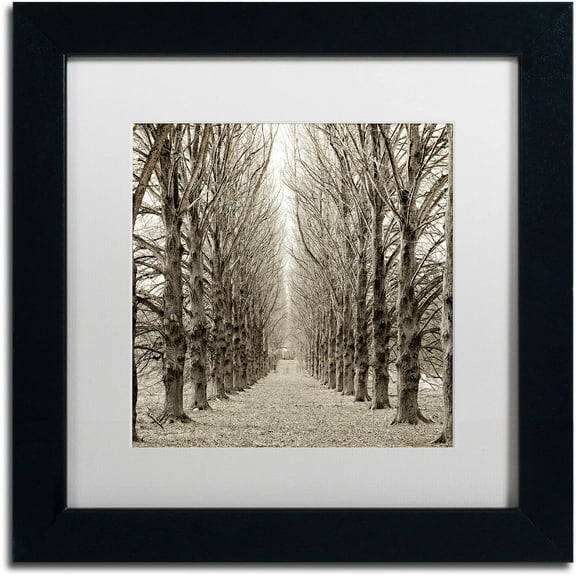 Trademark Fine Art "Hampton Gates Promenade III" Canvas Art by Alan Blaustein, White Matte, Black Frame