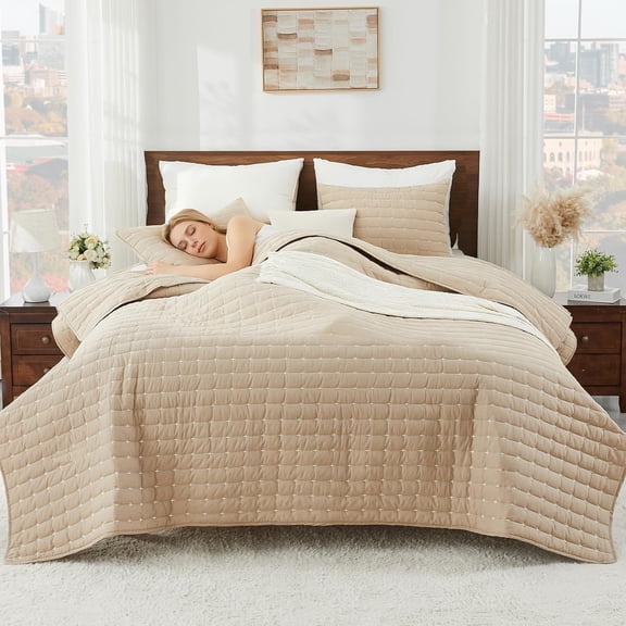 Cotton Quilt Queen Size Beige Tan Reversible Lightweight Bedding Set with Shams for All Season