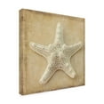thumbnail image 2 of Trademark Fine Art 'Sepia Shell I' Canvas Art by Judy Stalus, 2 of 4