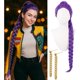 thumbnail image 1 of wonima44 Swooflia Purple Braid Wig for Women & Cosplay Accessories - Convenient Set Includes Adjustable Wig Cap, Earings, Cosplay Wig for Halloween, Costume, Party and Daily Use, 1 of 1
