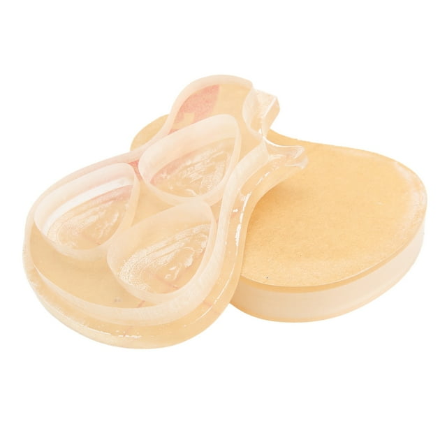 Guitar Pick Holder Case, Guitar Pick Box Wear Resistant Transparent Small For Club