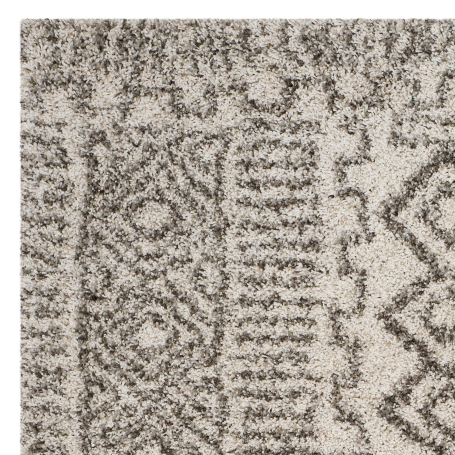 SAFAVIEH Hudson Raphael Contemporary Shag Area Rug
