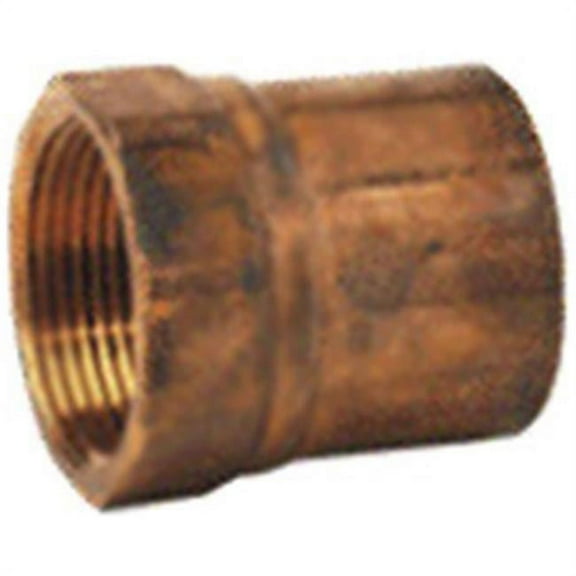 NIBCO 1 In. Female Copper Adapter W01100D