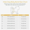 thumbnail image 2 of Bella & Pal × PJai & Friends Male Dog Diapers, 3-Pack, Highly Absorbent Washable Diapers for Small Dogs, Leak-Proof Puppy Diapers, L, 2 of 10