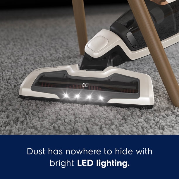 Electrolux Ergorapido 2-in-1 | Professional cleaning vacu