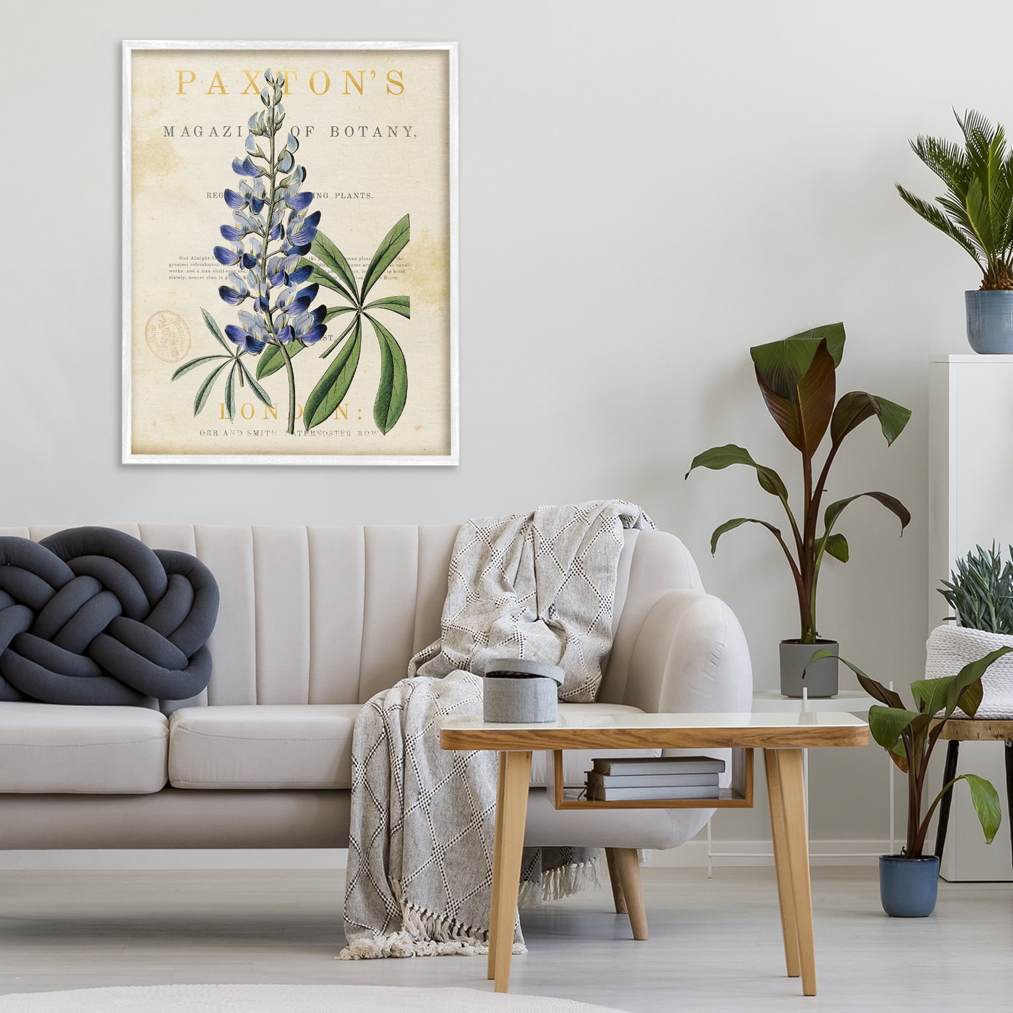 Stupell Industries Natural Botany Lupine White Framed Giclee Art, design by Susan Arnot