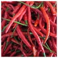 thumbnail image 3 of Everwilde Farms - 25 Organic Long Red Cayenne Hot Pepper Seeds - Gold Vault Jumbo Bulk Seed Packet, 3 of 5