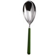 thumbnail image 1 of Fantasia Risotto Spoon, Green, 1 of 1