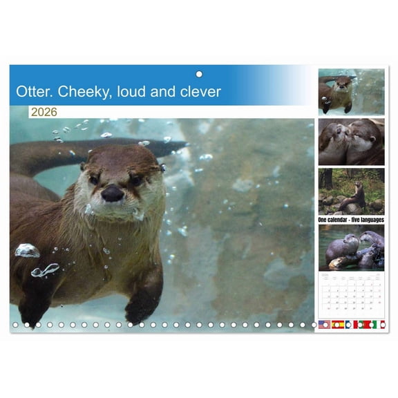 Otter. Cheeky, loud and clever (Monthly Wall Calendar 2026 11.7 x 16.5 (open)), CALVENDO 14 Month Calendar