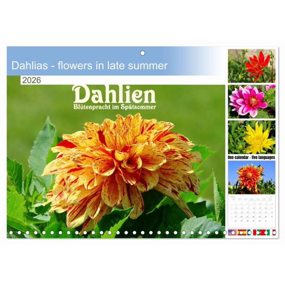 Dahlias - flowers in late summer (Monthly Wall Calendar 2026 11.7 x 16.5 (open)), CALVENDO 14 Month Calendar