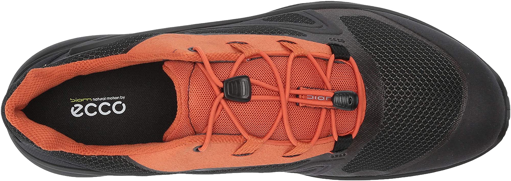 ecco biom omniquest gtx